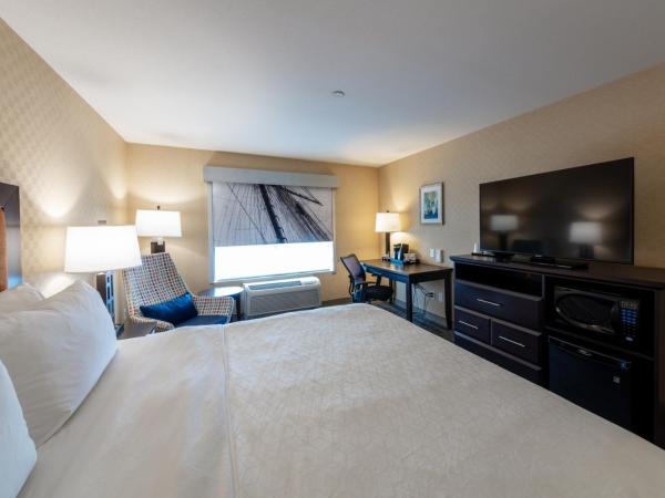 Holiday Inn Express & Suites Riverport Richmond, an IHG Hotel : photo 2 de la chambre chambre lit king-size standard