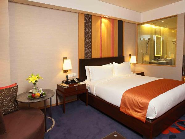Holiday Inn New Delhi Mayur Vihar Noida, an IHG Hotel : photo 7 de la chambre 1 king bed standard smoking pool view 