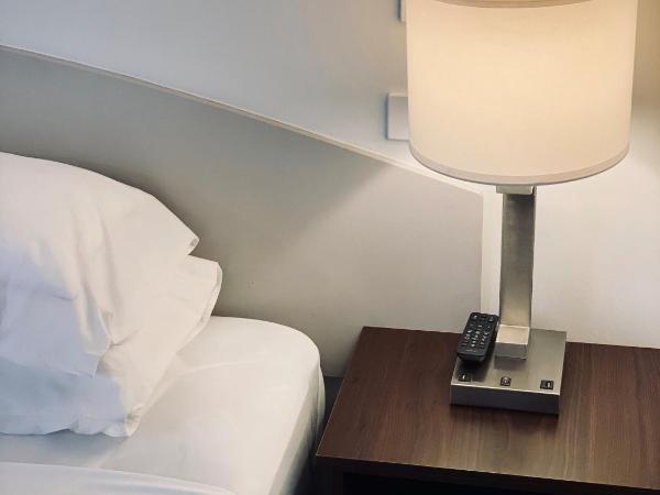 Hides Hotel : photo 4 de la chambre hébergement lit king-size et lit simple