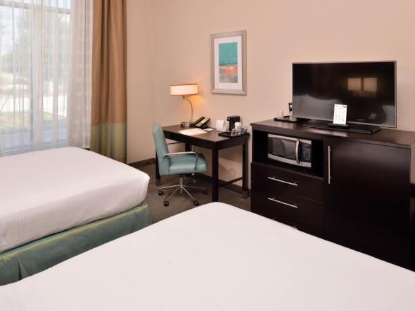 Holiday Inn Express & Suites Austin South, an IHG Hotel : photo 2 de la chambre chambre standard avec 2 lits queen-size
