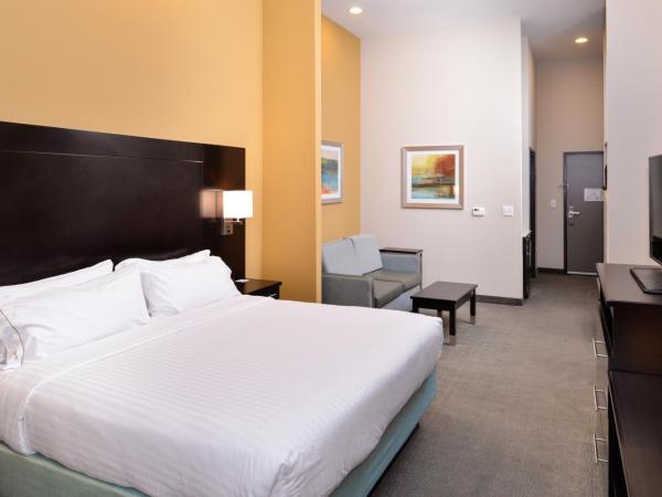 Holiday Inn Express & Suites Austin South, an IHG Hotel : photo 4 de la chambre chambre lit king-size avec canapé-lit - non-fumeurs