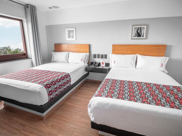 Six Hotel Guadalajara Expiatorio : photo 6 de la chambre chambre double