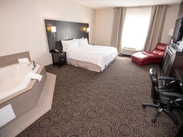 Holiday Inn Hotel & Suites Red Deer, an IHG Hotel : photo 3 de la chambre suite lit king-size avec baignoire spa