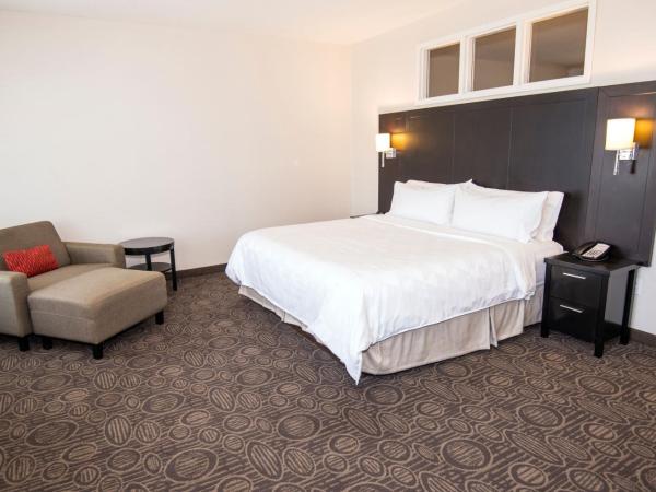 Holiday Inn Hotel & Suites Red Deer, an IHG Hotel : photo 1 de la chambre hot tub fireplace suite - non-smoking