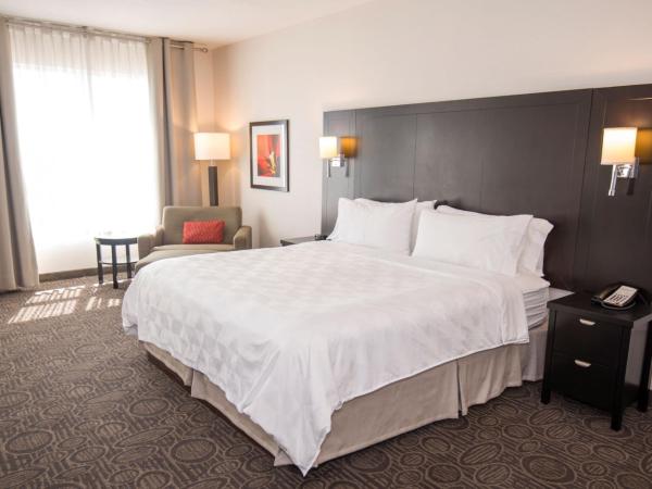 Holiday Inn Hotel & Suites Red Deer, an IHG Hotel : photo 2 de la chambre chambre lit king-size premium