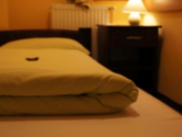 Green Hostel Wrocław przy ZOO : photo 2 de la chambre chambre simple