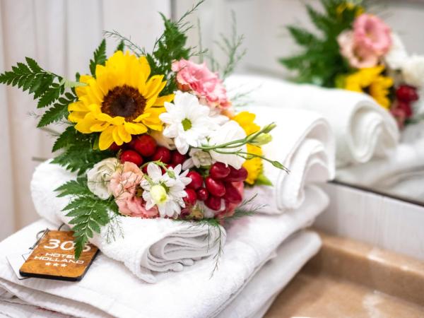 Hotel Holland : photo 8 de la chambre chambre double ou lits jumeaux confort