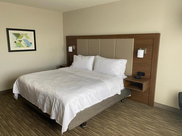 Holiday Inn Express & Suites Albuquerque Historic Old Town, an IHG Hotel : photo 1 de la chambre chambre standard