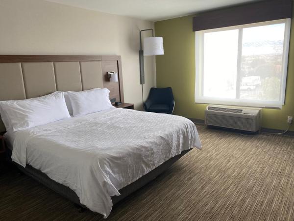 Holiday Inn Express & Suites Albuquerque Historic Old Town, an IHG Hotel : photo 3 de la chambre chambre standard