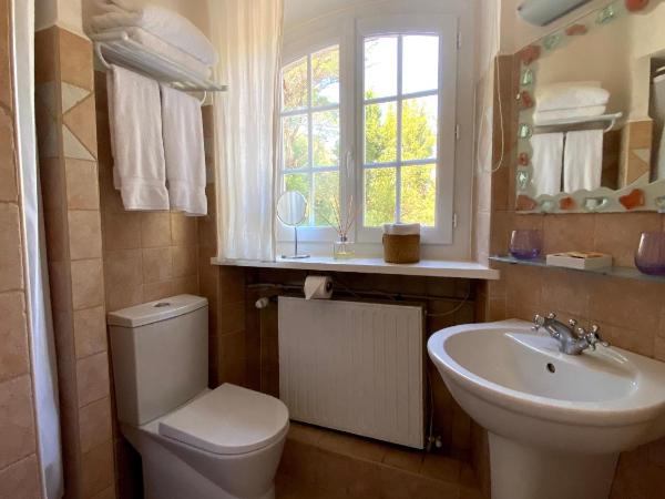 Le Manoir de L'Étang : photo 2 de la chambre chambre double avec douche