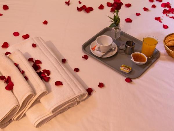 Hotel Toulousain : photo 2 de la chambre chambre simple standard