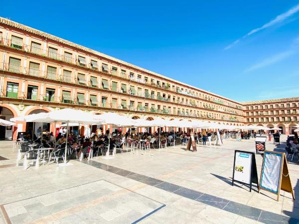 Hostel Plaza Mayor Corredera : photo 2 de la chambre petite chambre double