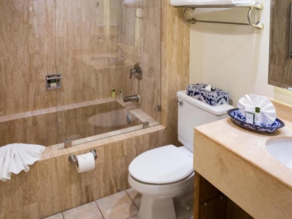 Villa del Palmar Beach Resort & Spa : photo 7 de la chambre suite 2 chambres
