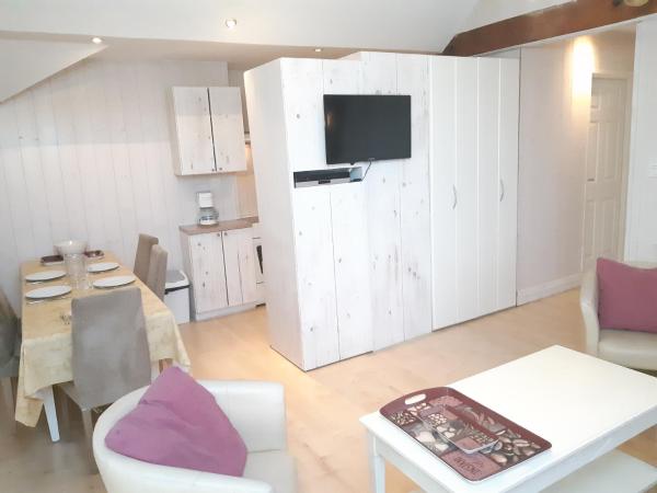 Tilleul Plaza Résidence : photo 4 de la chambre appartement 3 chambres