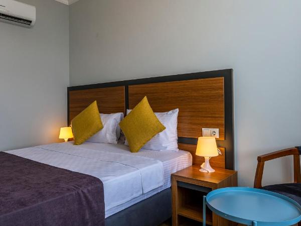 Antalya Business Hotel : photo 10 de la chambre chambre double standard