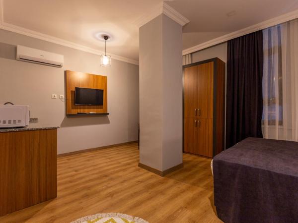 Antalya Business Hotel : photo 1 de la chambre studio avec canapé-lit