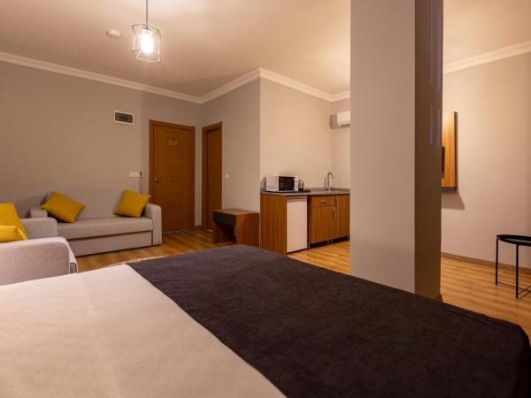 Antalya Business Hotel : photo 2 de la chambre studio avec canapé-lit