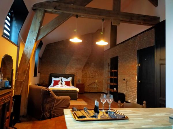 La Maison Bleue de Roubaix : photo 2 de la chambre studio lit queen-size de luxe 