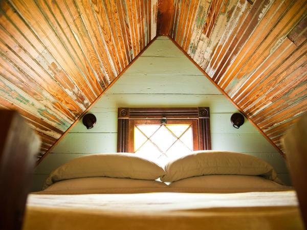 Park Lane Guest House : photo 1 de la chambre cottage - vue sur jardin