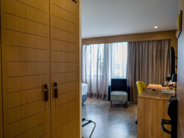 Holiday Inn Parque Anhembi, an IHG Hotel : photo 1 de la chambre chambre lit king-size deluxe