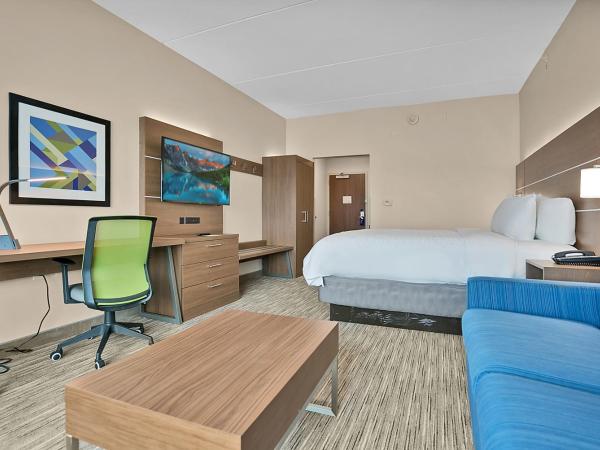 Holiday Inn Express - Jacksonville South Bartram Prk, an IHG Hotel : photo 6 de la chambre suite lit king-size – non-fumeurs