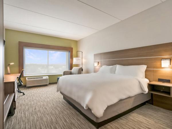 Holiday Inn Express - Jacksonville South Bartram Prk, an IHG Hotel : photo 8 de la chambre chambre lit king-size standard