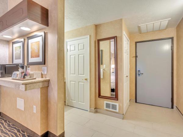 Radisson Hotel Salt Lake City Airport : photo 4 de la chambre chambre lit king-size affaires