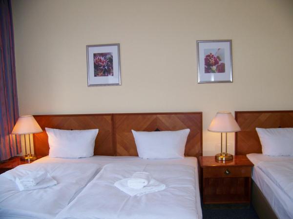 Hotel Amadeus Central : photo 3 de la chambre chambre triple avec salle de bains commune