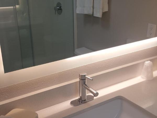 Holiday Inn Express Hotel & Suites Albuquerque - North Balloon Fiesta Park, an IHG Hotel : photo 1 de la chambre chambre standard