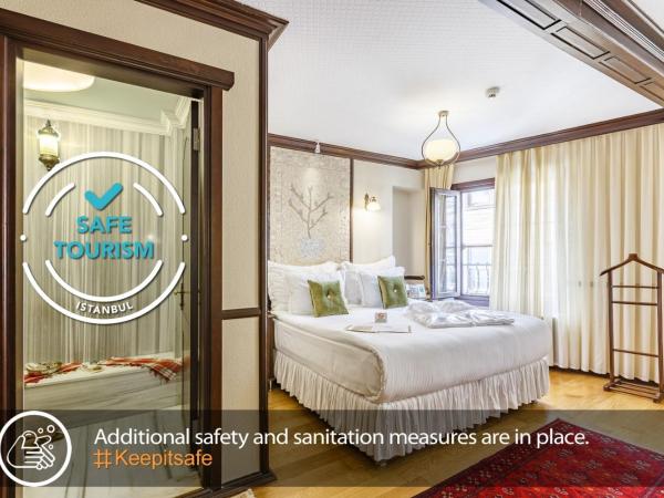 Best Point Hotel-Old City Sultanahmet : photo 1 de la chambre chambre familiale avec hammam privé - 30 m²