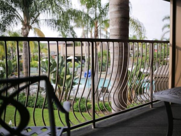 Holiday Inn San Diego Bayside, an IHG Hotel : photo 1 de la chambre 1 king bed standard pool & garden view