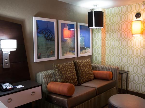 Holiday Inn Express Atlanta Galleria-Ballpark Area, an IHG Hotel : photo 2 de la chambre chambre lit king-size avec canapé-lit