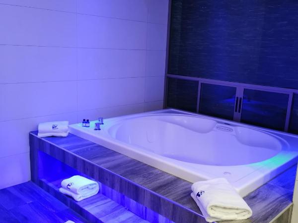 Hotel Plaza Arteaga : photo 8 de la chambre suite deluxe avec baignoire spa