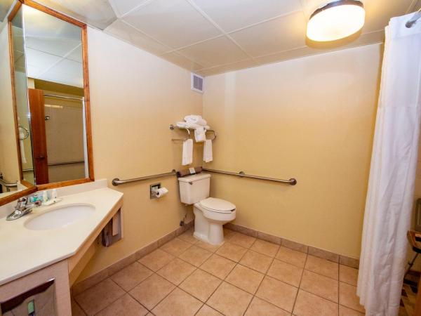 Quality Inn Colorado Springs South : photo 4 de la chambre chambre lit queen-size pour personnes à mobilité réduite avec douche accessible en fauteuil roulant - non-fumeurs