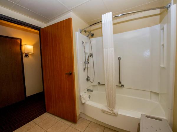 Quality Inn Colorado Springs South : photo 4 de la chambre queen room first floor - accessible/non-smoking