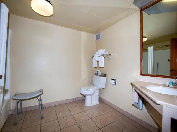 Quality Inn Colorado Springs South : photo 5 de la chambre queen room first floor - accessible/non-smoking