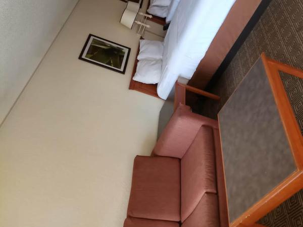 Super 8 by Wyndham San Antonio Near SeaWorld Ingram Park : photo 3 de la chambre suite junior avec 2 lits queen-size - non-fumeurs