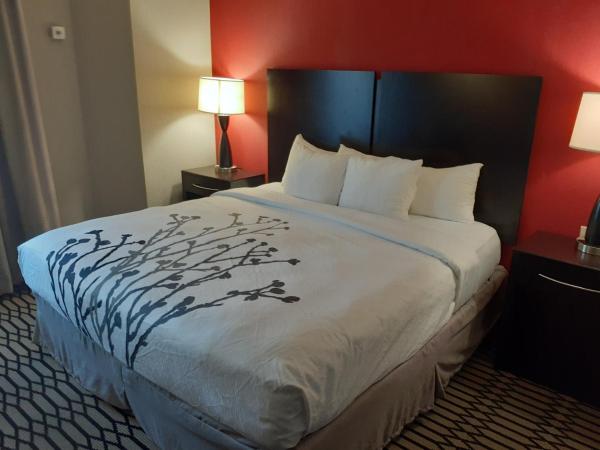 Sleep Inn & Suites BWI Airport : photo 1 de la chambre suite lit king-size avec canapé-lit - non-fumeurs