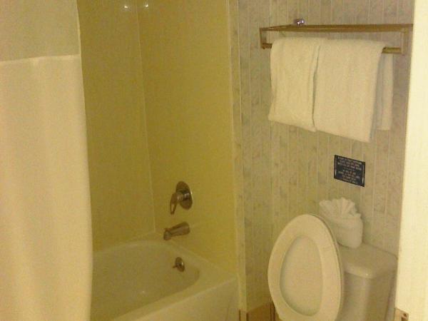 Econo Lodge Downtown South : photo 3 de la chambre chambre lit king-size - fumeurs 