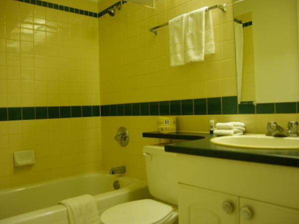 Airport Traveller's Inn : photo 4 de la chambre chambre lit queen-size - non-fumeurs