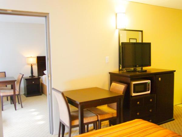 Airport Traveller's Inn : photo 4 de la chambre suite familiale - non-fumeurs