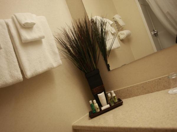 Future Inns Halifax Hotel & Conference Centre : photo 1 de la chambre suite lit king-size traditionnelle