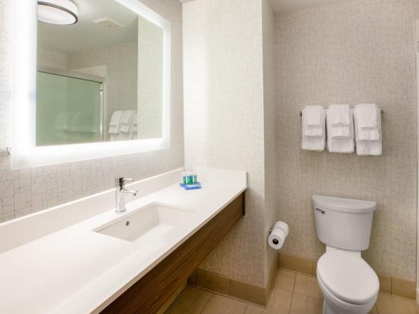 Holiday Inn Express & Suites - Dallas Market Center, an IHG Hotel : photo 1 de la chambre chambre standard