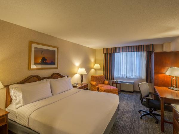 Holiday Inn Arlington at Ballston, an IHG Hotel : photo 4 de la chambre chambre lit king-size standard