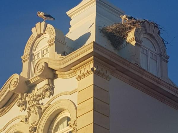 São Pedro Suite Faro : photo 9 de la chambre chambre double avec salle de bains privative