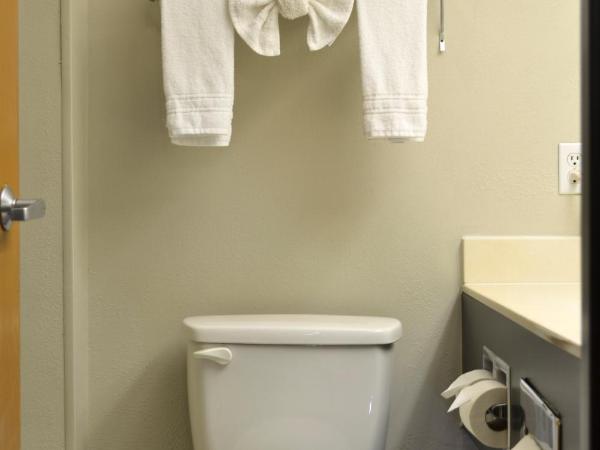 Days Inn & Suites by Wyndham Airport Albuquerque : photo 3 de la chambre chambre lit king-size deluxe - non-fumeurs