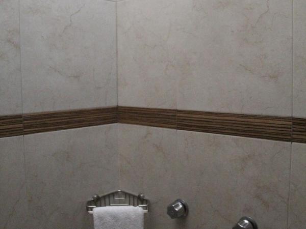 Hotel Real Zapopan : photo 8 de la chambre chambre lit king-size