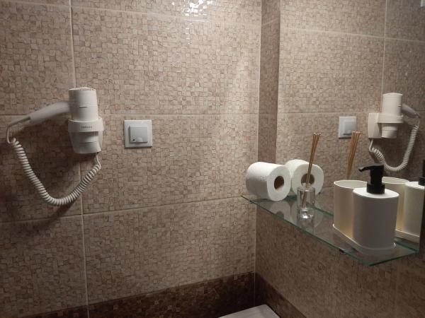 Korona Panzió Budapest : photo 8 de la chambre chambre double ou lits jumeaux supérieure avec terrasse