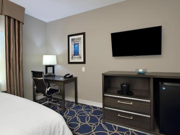 Holiday Inn Express and Suites Houston North - IAH Area, an IHG Hotel : photo 4 de la chambre chambre lit king-size loisirs