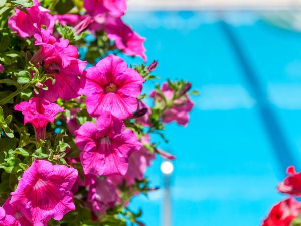 Ilios Beach Hotel Apartments ADULTS ONLY : photo 5 de la chambre studio avec balcon